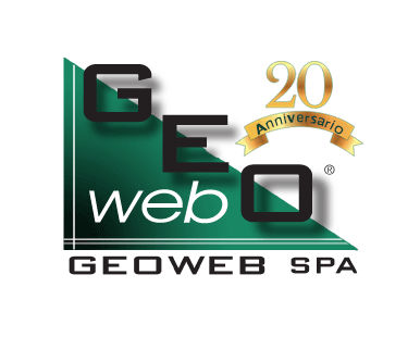 logo Geoweb - anniversario 20 anni